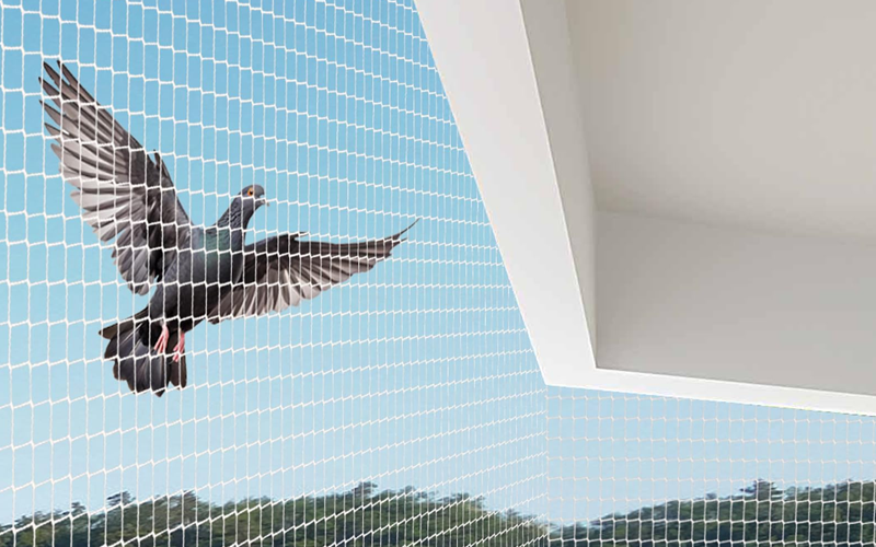 Best Pigeon Netting Services In Delhi