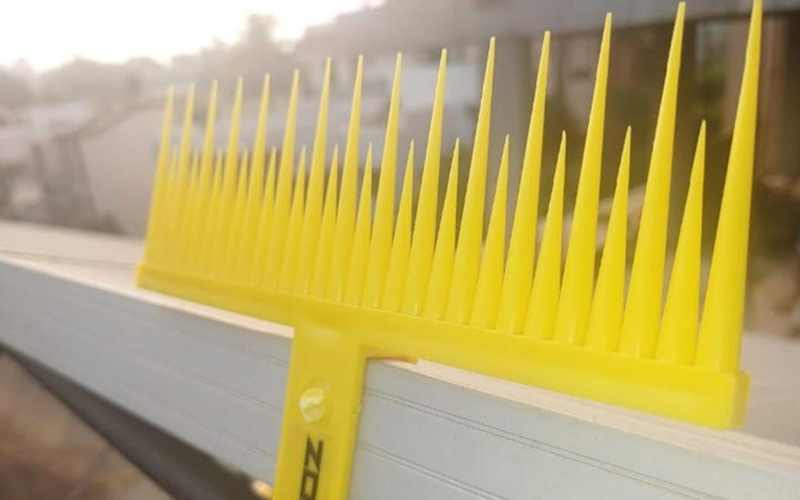 Best Solar Spikes Services In Delhi
