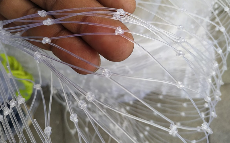 Transparent Net Services In Delhi